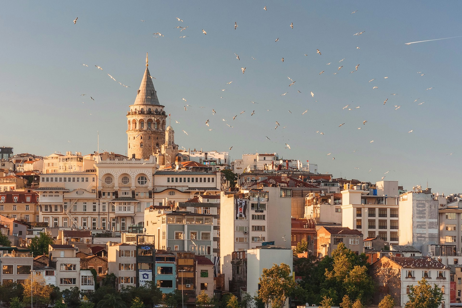 Limpide Voyages - İstanbul Boğazı & Seçkin Hizmet Vitrini